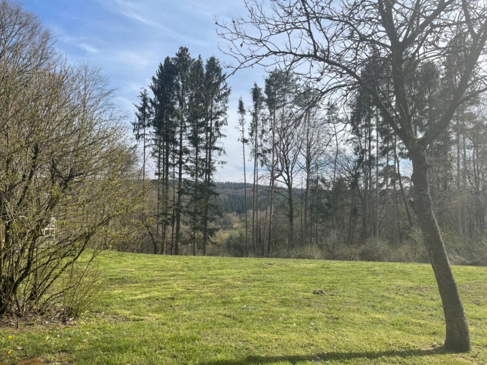 Ferienhaus Waldfee Foto 29